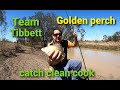 Yellowbelly catch clean cook ( Golden Perch )