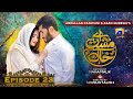 Aye Musht-e-Khaak - Episode 23 - Feroze Khan - Sana Javed - Geo Entertainment