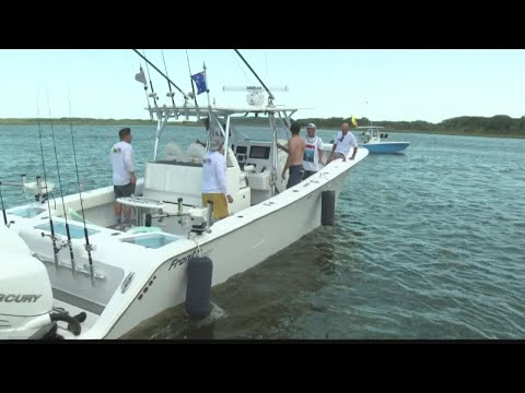 Kingfish Tournament sees big ones and PGA Tour winner