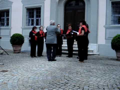 ZENSKA KLAPA  "MASLINA" - MOJA JUBE