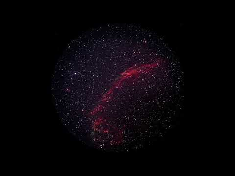 Dorian Gray - A New Humanity