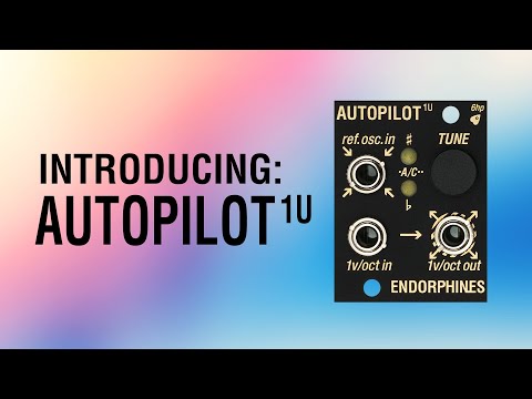Endorphin.es Autopilot 2 Channel Autotuner - 1U image 2