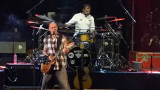 Celtas Cortos en Viveros - Madera de colleja