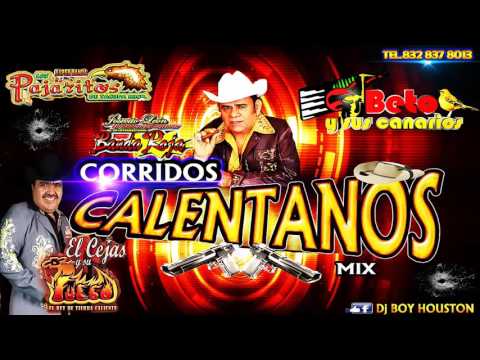 CORRIDOS  TIERRA CALIENTE  MIX CHINGONES!!
