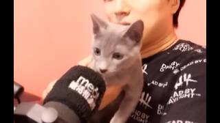 ネコと恋愛相談！【恋愛相談LIVE】