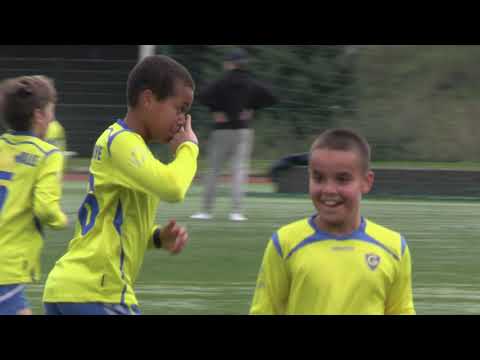 Gnistan/keltainen 1 –  PPJ