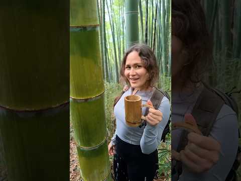 Survival Skills: How to Get Water from a Coconut Tree 🌴💧#ohd #survival #camping #bushcraft #skills