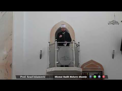 Briga majke - Mr. Sead Islamovic