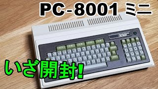 PCｰ8001miniを遂に開封！
