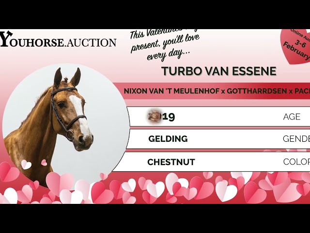 Turbo Van Essene @ the show