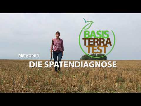 Tutorial: Spatendiagnose