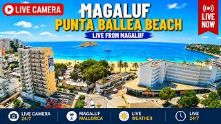 🌞 Mallorca Webcam LIVE Magaluf Beach & Punta Ballena 🌴 24/7 | Party & Beach Vibes #magaluf #mallorca live webcam
