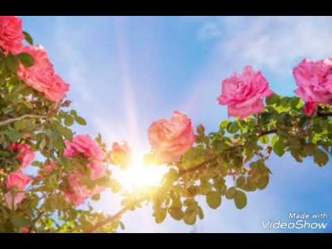 EUROVISION 1995 NORWAY-SECRET GARDEN-NOCTURNE