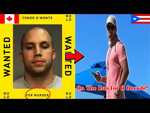 Conor D'Monte: Alleged BC Gang Leader Turned Philanthropist (UN Gang)