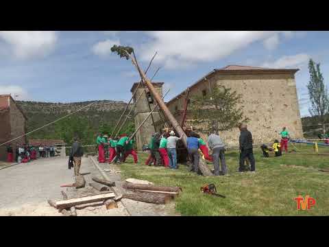 Pingada del Mayo en Hortezuelos