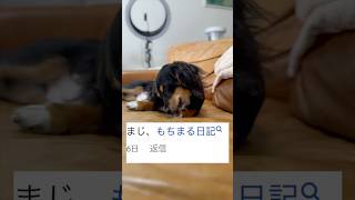 も〇〇る日記と言われてることについて触れてみた！