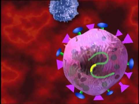 STUDIMI I SHKENCETAREVE TREGOI SE SHKAK I TUMOREVE JANE MUTACIONET GJENETIKE LAJM