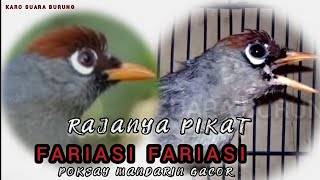 Download lagu Fariasi Fariasi Mewah Poksay Mandarin ll Terbaru MasteRan & Pancinganl Langsung Di Coba mp3 Download lagu Fariasi Fariasi Mewah Poksay Mandarin ll Terbaru MasteRan & Pancinganl Langsung Di Coba mp3