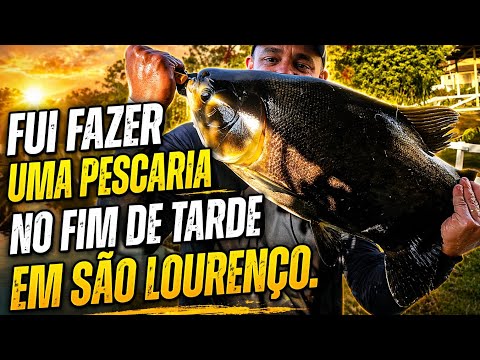 Pescaria no fim de tarde em Minas Gerais e recuperação de vara e molinete arrastada pelo tamba
