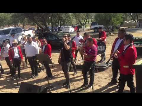 Grupo Doble T ft banda La autentica de mazatlan corrido  del molacho