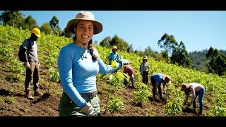 Capítulo 4 Implementación de Acciones Sostenibles