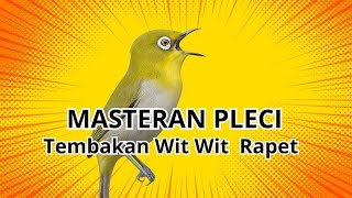 Download lagu COCOK BUAT BURUNG PLECI ANDA !! MASTERAN PLECI TEMBAKAN WIT WIT TULIT TULIT RAPET mp3 Download lagu COCOK BUAT BURUNG PLECI ANDA !! MASTERAN PLECI TEMBAKAN WIT WIT TULIT TULIT RAPET mp3