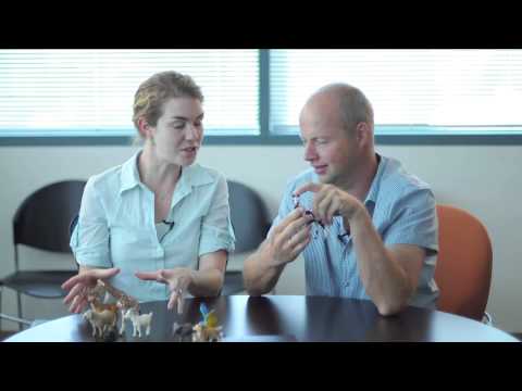 Solution Intro to Machine Learning