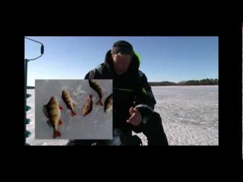 kalastusopas Kristian Keskitalon luento - osa 1/5 - pilkkiminen Ruotsin suurilla järvillä
