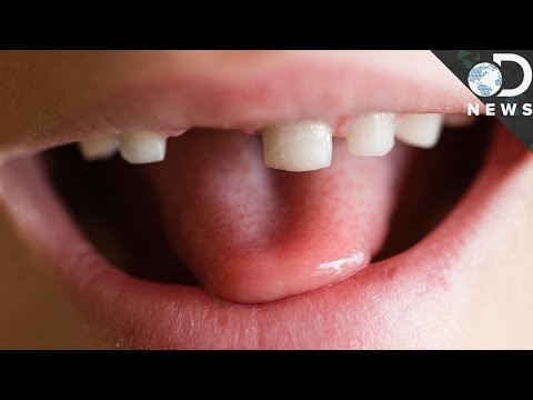Why Do We Have Baby Teeth?