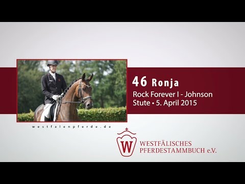 46 Ronja  Stute v. Rock Forever  - Johnson