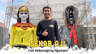 Download lagu LUCU‼️DAWANGAN BUDI CENTONG SEKAR AJI LIVE KEBONAGUNG NGAMPEL mp3