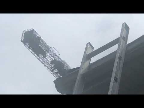 Safely Relocating Squirrel Kits in East Brunswick, NJ