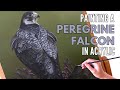 Painting a Peregrine Falcon | Bird of Prey Painting | Realistic Wildlife Painting