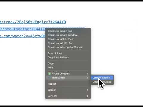 Item video thumbnail