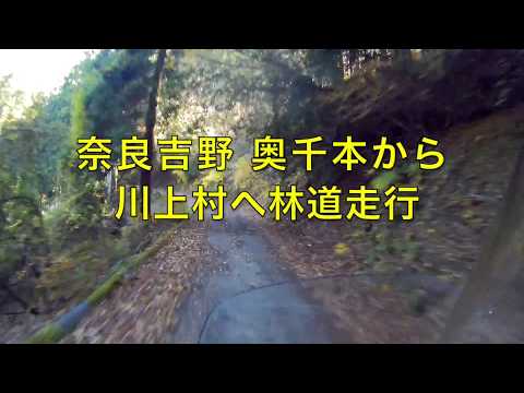 【険道ツーリング】紅葉の吉野奥千本から川上村へ【モトブログ】大人のバイクNC700インテグラ Video