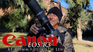 Canon R3 and RF 800mm f/11 IS STM Lens at O'Melveny Park -  Bluebirds and Robins and other wildlife!