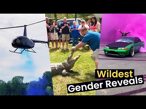 The Most Creative Gender Reveals Ever!