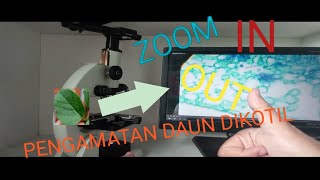 Download lagu Pengamatan Daun Dikotil di Bawah Mikroskop #mikroskop #pengamatan #percobaansains #sainsdanteknologi mp3