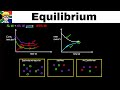 Equilibrium Graphs Grade 12 Introduction