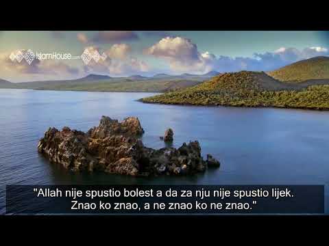 Nikad ne gubi nadu│šejh Abdulkerim el-Hudajr