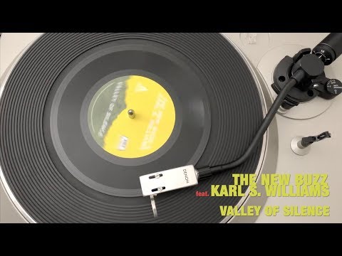 The New Buzz feat. Karl S. Williams - Valley Of Silence b/w Brisket Bits 7" Single