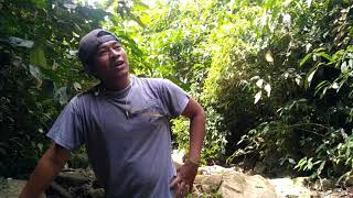 preview picture of video 'My trip my adventure sampuren barisan mesin'