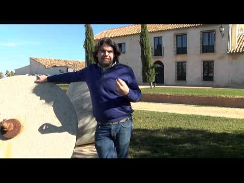 Cata de aceite - Finca la Torre ONE First Harvest Limited Edition BIO Arbequina 500ml