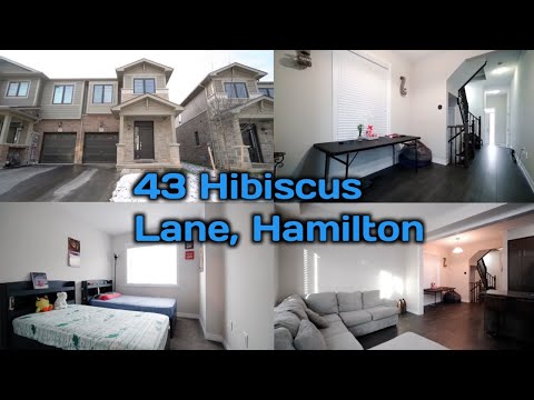 43 Hibiscus Lane, Hamilton | Danish Homes | Virtual tour | Real Estate |