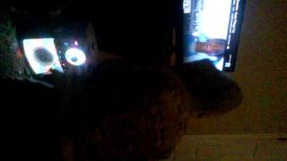 Crazy things i do by Sammie