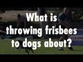 Answering The Question You Play Frisbee Do You Throw To Dogs