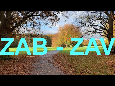 ZAB and ZAV - Two very Important agencies related with Germany JSV and Job in Germany. Germany Jobs.