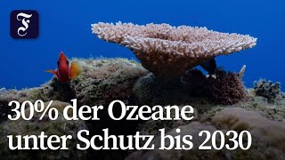 UN-Abkommen zum Hochseeschutz in Kraft getreten