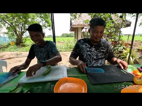 EP705-P2 - Pag-aabono ng mga Tanim na Palay | Occ. Mindoro