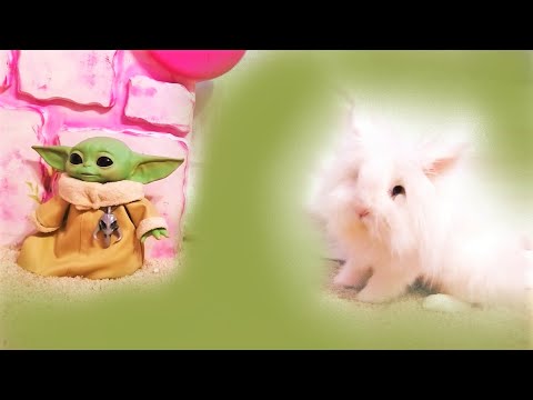 Baby Yoda The Child Mandalorian 3 VS 🐰 LionHead Bunny Rabbit Binky Happy Jump TikTok Run Awolnation